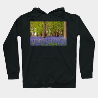 Bluebell Woods Greys Court Oxfordshire UK Hoodie